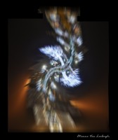 /album/fotogalerij/opbouw-brugge-web-jpg-jpg/