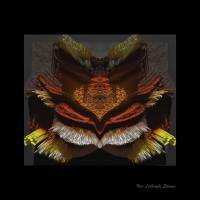 /album/fotogalerij/kunst-spec-xtx-web-jpg/